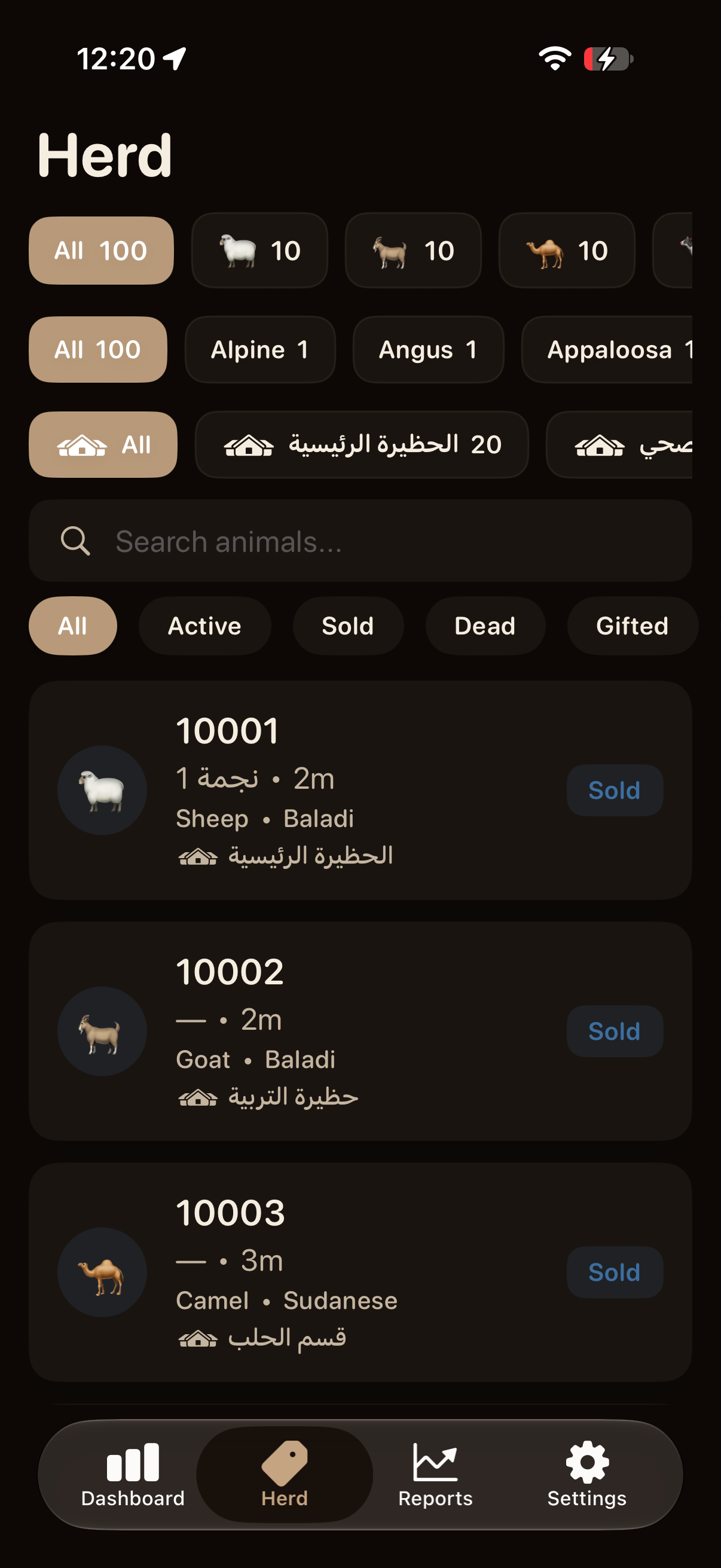 Halalak herd (dark)