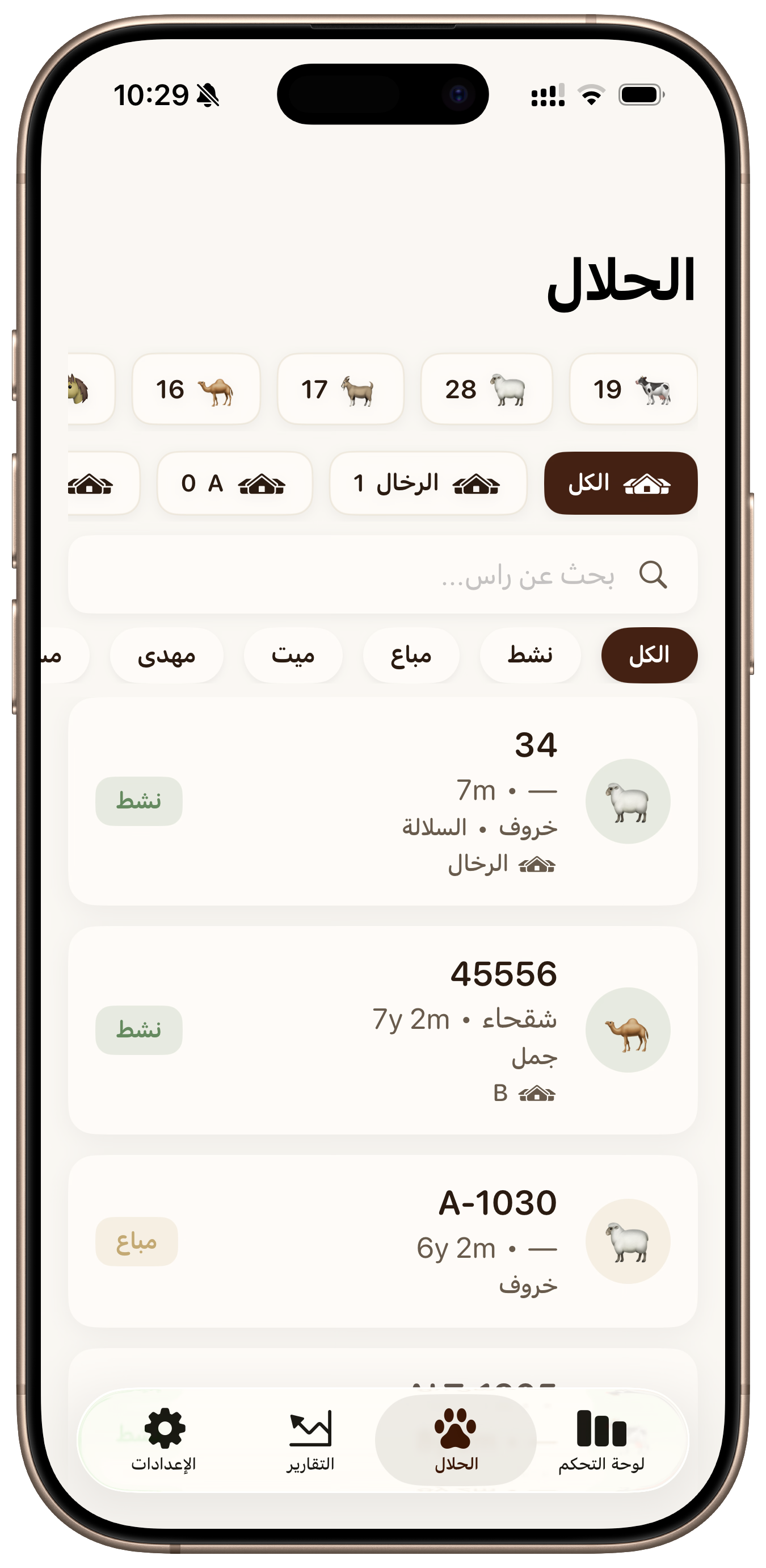 Halalak herd (light)