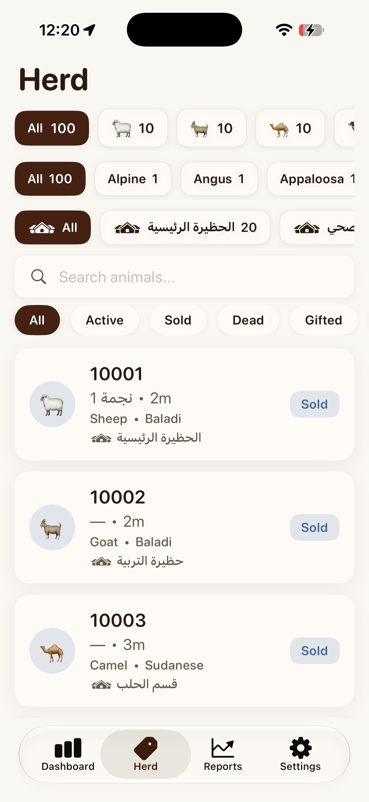 Halalak herd (light)